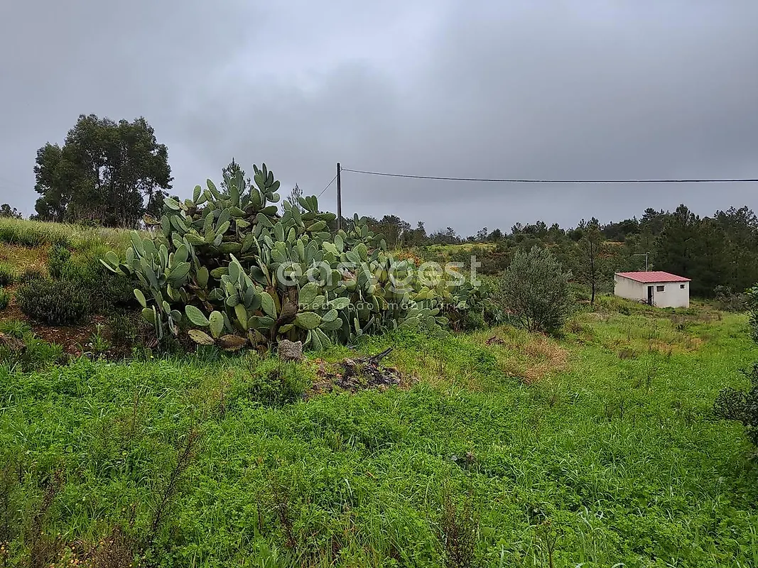 Moradia T5 à venda em Sarzedas, Castelo Branco — foto 4