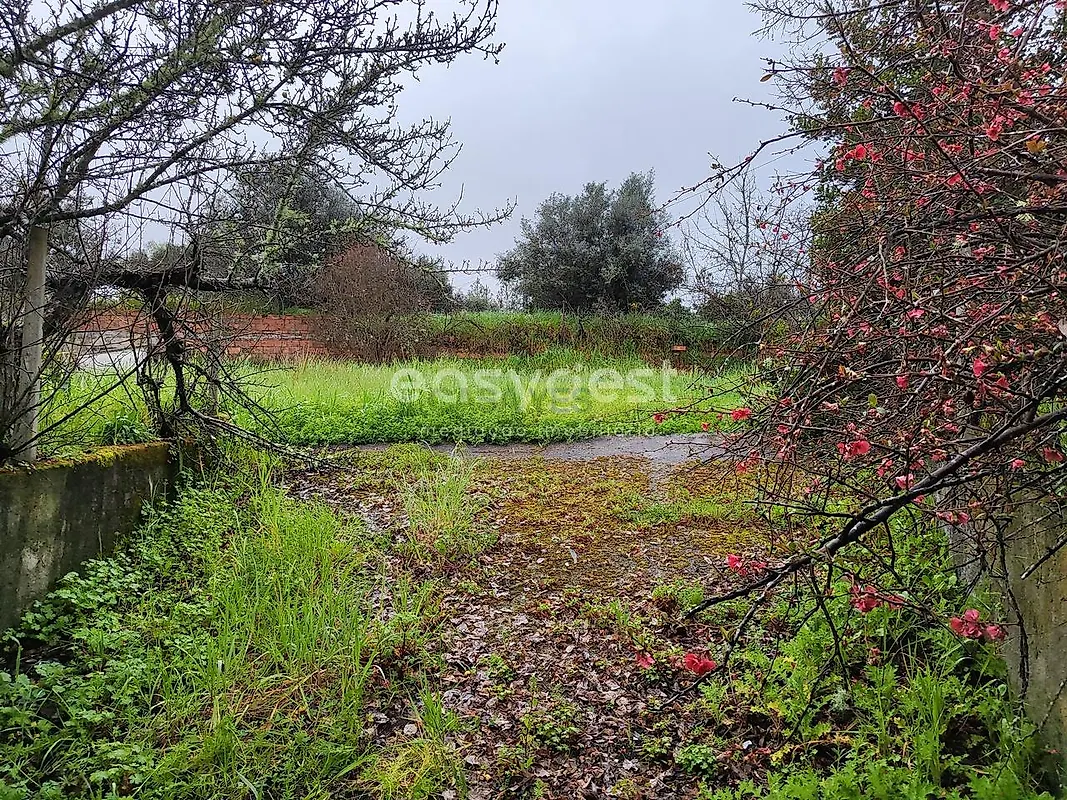 Moradia T5 à venda em Sarzedas, Castelo Branco — foto 30
