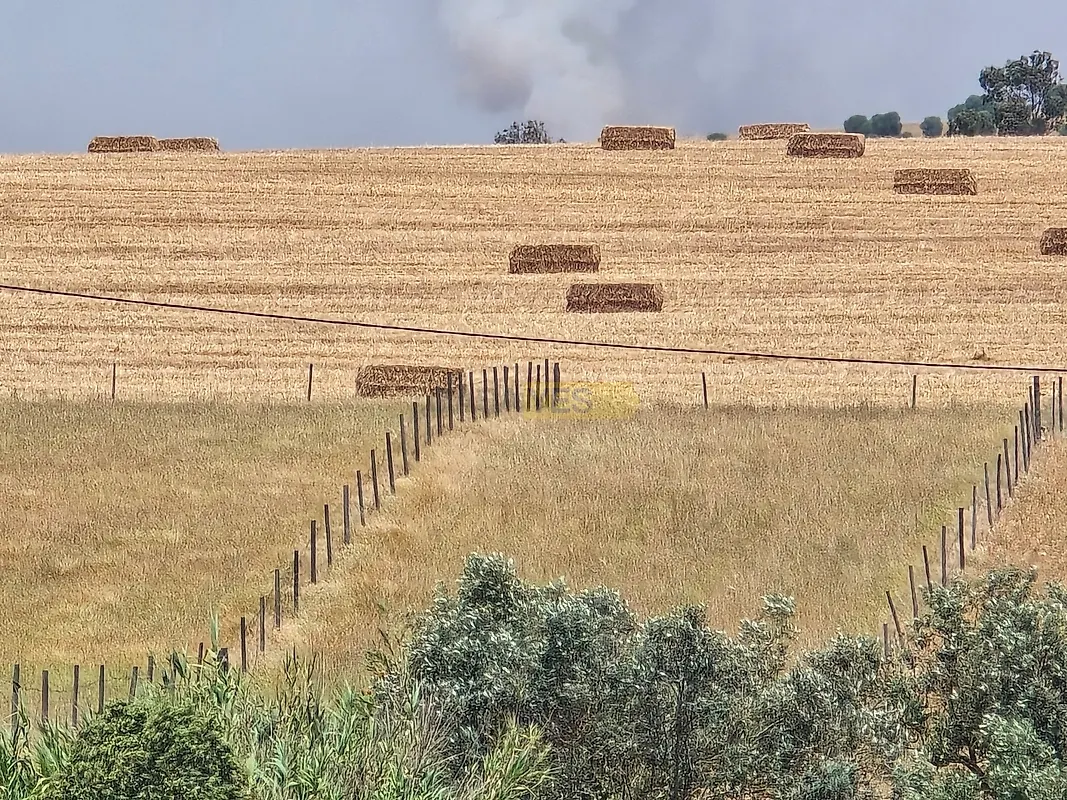 Moradia T2 à venda em Alcaria Ruiva, Mértola — foto 14