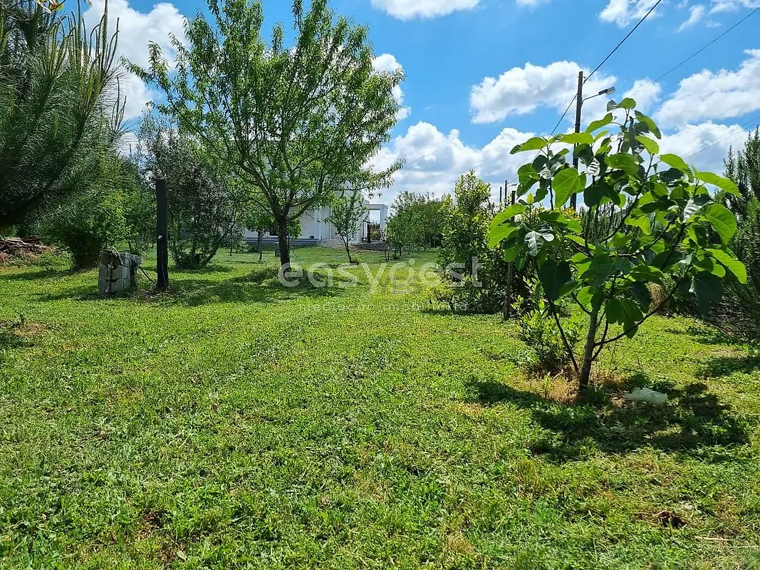 Moradia T4 à venda em Travanca de Lagos, Oliveira do Hospital — foto 21