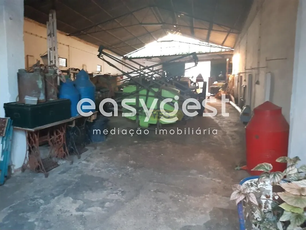 Moradia T4 à venda em Cabeça Gorda, Beja — foto 13