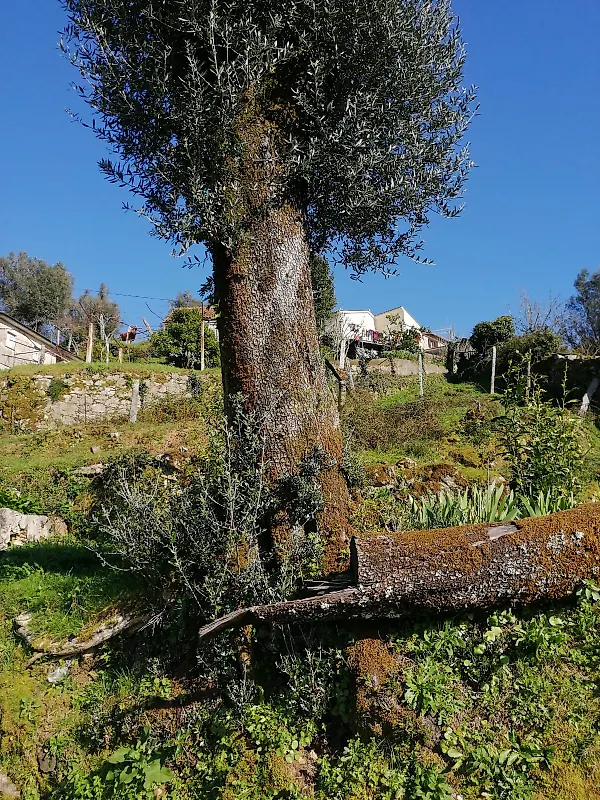 Moradia T2 à venda em Vale, Arcos de Valdevez — foto 10