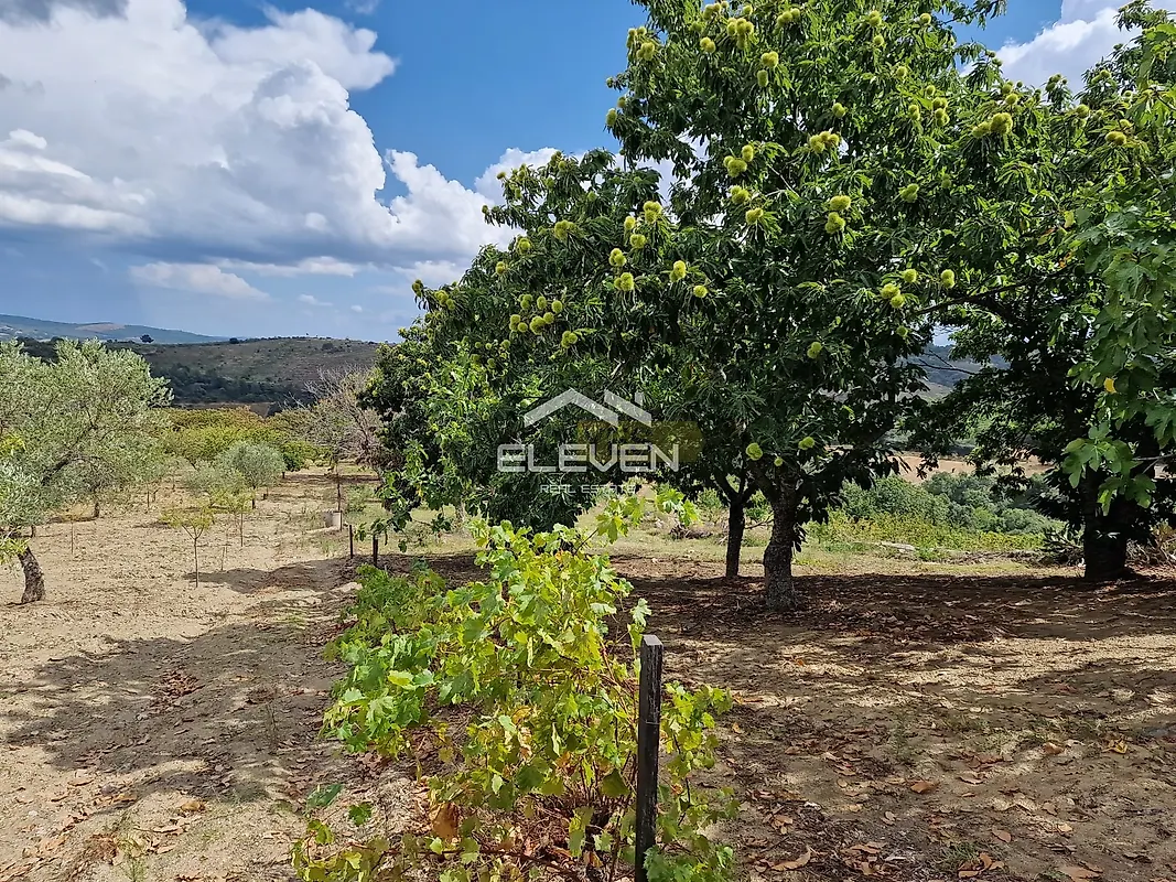 Moradia T5 à venda em Trevões e Espinhosa, São João da Pesqueira — foto 37