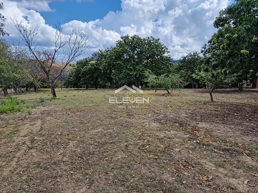 Moradia T5 à venda em Trevões e Espinhosa, São João da Pesqueira — foto 32