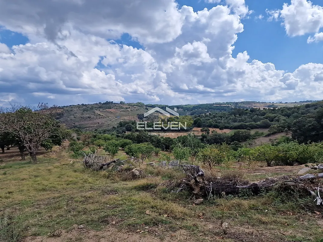 Moradia T5 à venda em Trevões e Espinhosa, São João da Pesqueira — foto 29