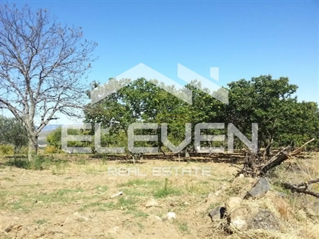 Moradia T5 à venda em Trevões e Espinhosa, São João da Pesqueira — foto 25