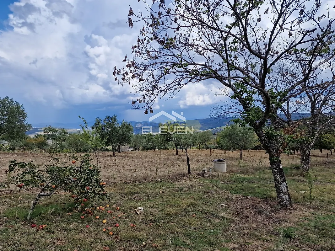 Moradia T5 à venda em Trevões e Espinhosa, São João da Pesqueira — foto 31