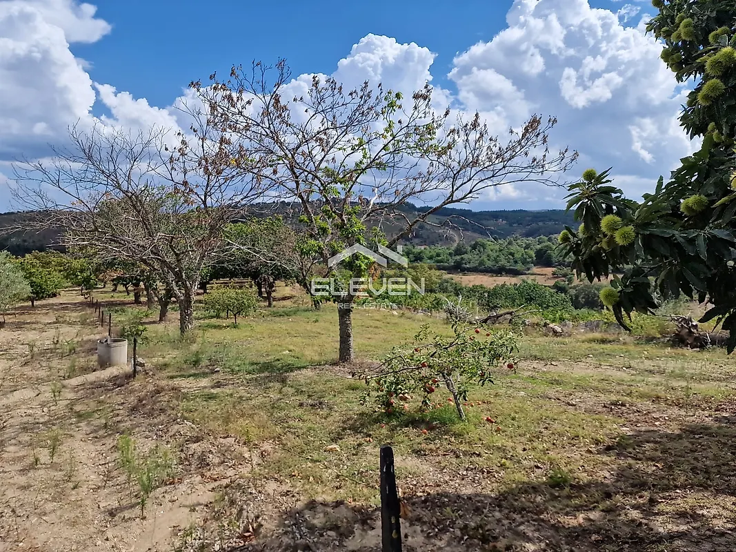 Moradia T5 à venda em Trevões e Espinhosa, São João da Pesqueira — foto 35