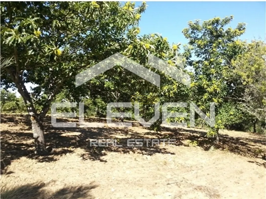 Moradia T5 à venda em Trevões e Espinhosa, São João da Pesqueira — foto 21