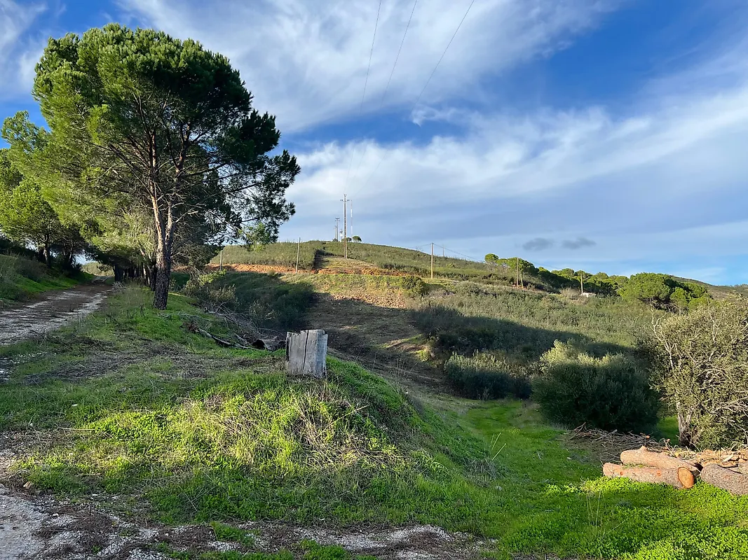 Moradia T3 à venda em Alferce, Monchique — foto 23