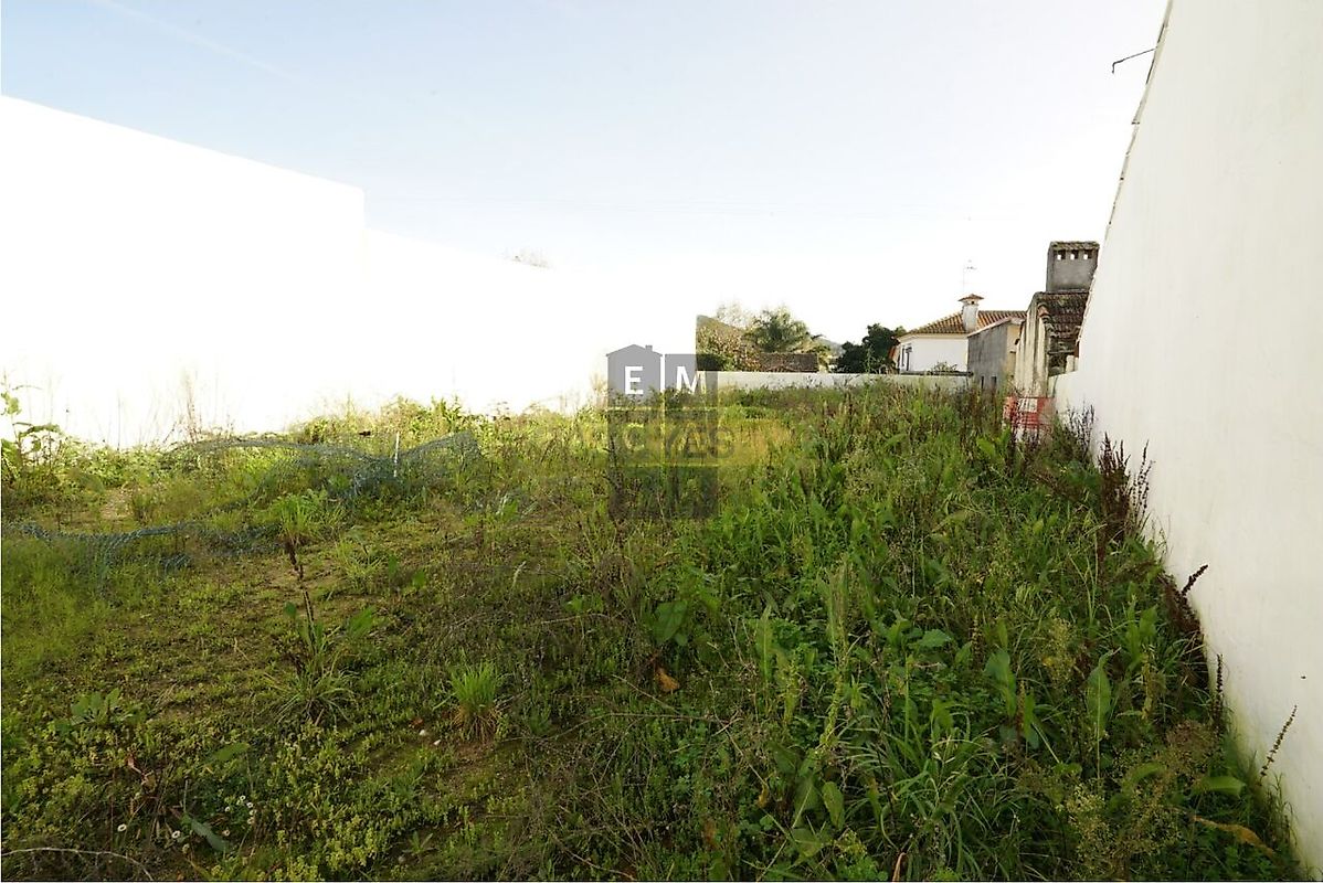 Moradia T3 à venda em Pinheiro da Bemposta, Travanca e Palmaz, Oliveira de Azeméis — foto 17
