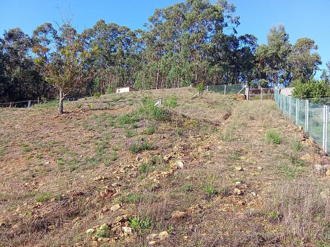 Moradia T0 à venda em Seixas, Caminha — foto 13