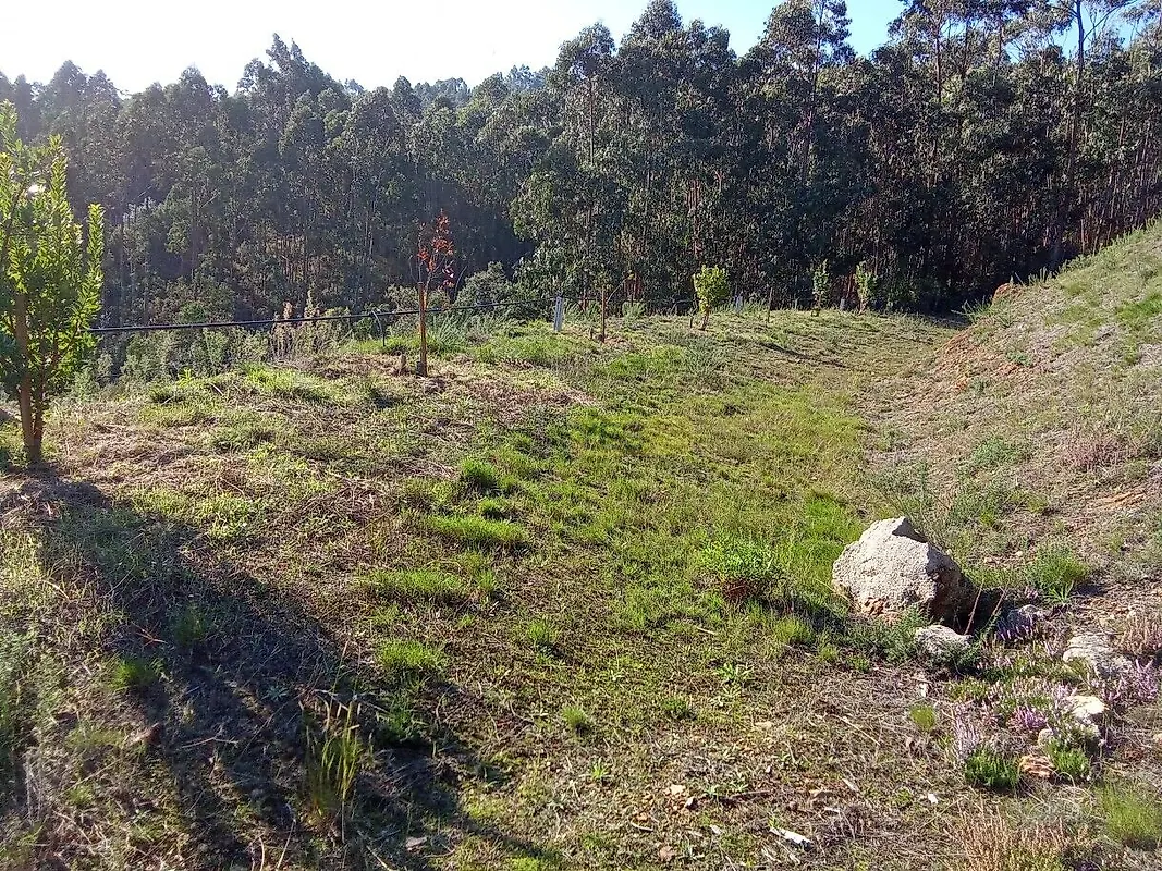 Moradia T0 à venda em Seixas, Caminha — foto 10