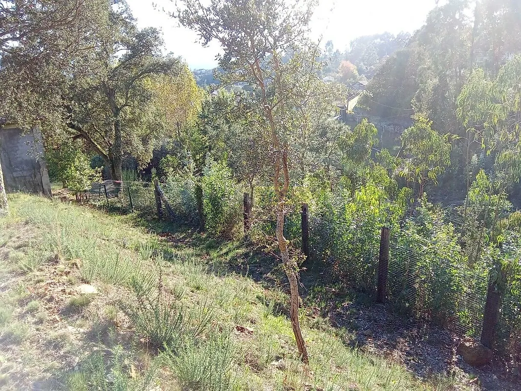 Moradia T0 à venda em Seixas, Caminha — foto 8