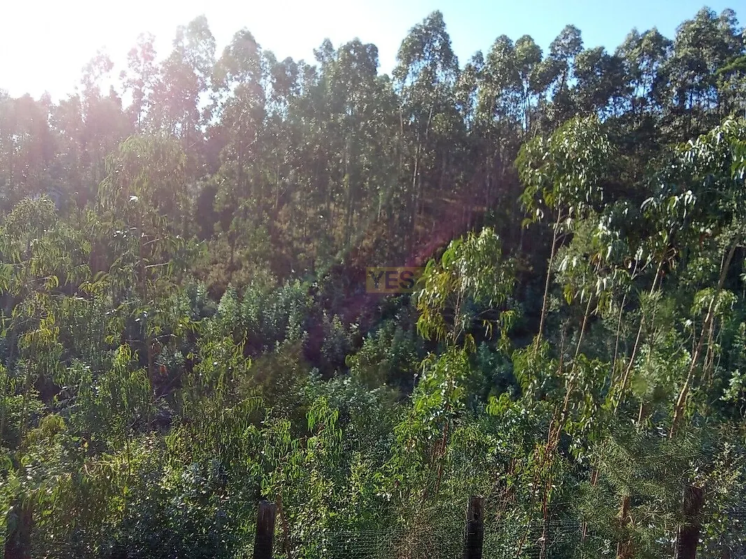 Moradia T0 à venda em Seixas, Caminha — foto 7