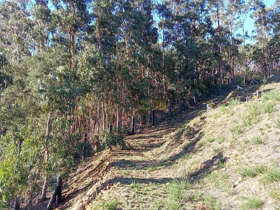 Moradia T0 à venda em Seixas, Caminha — foto 6