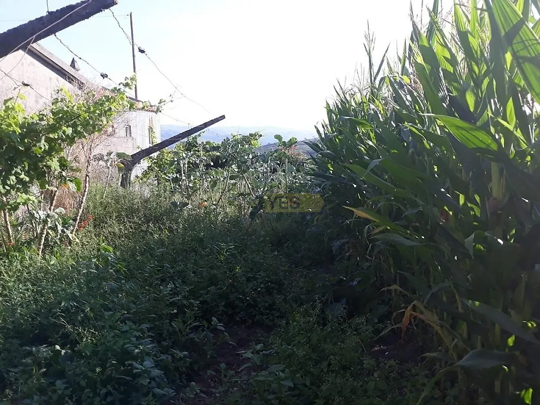 Moradia T5 à venda em Gestaçô, Baião — foto 17