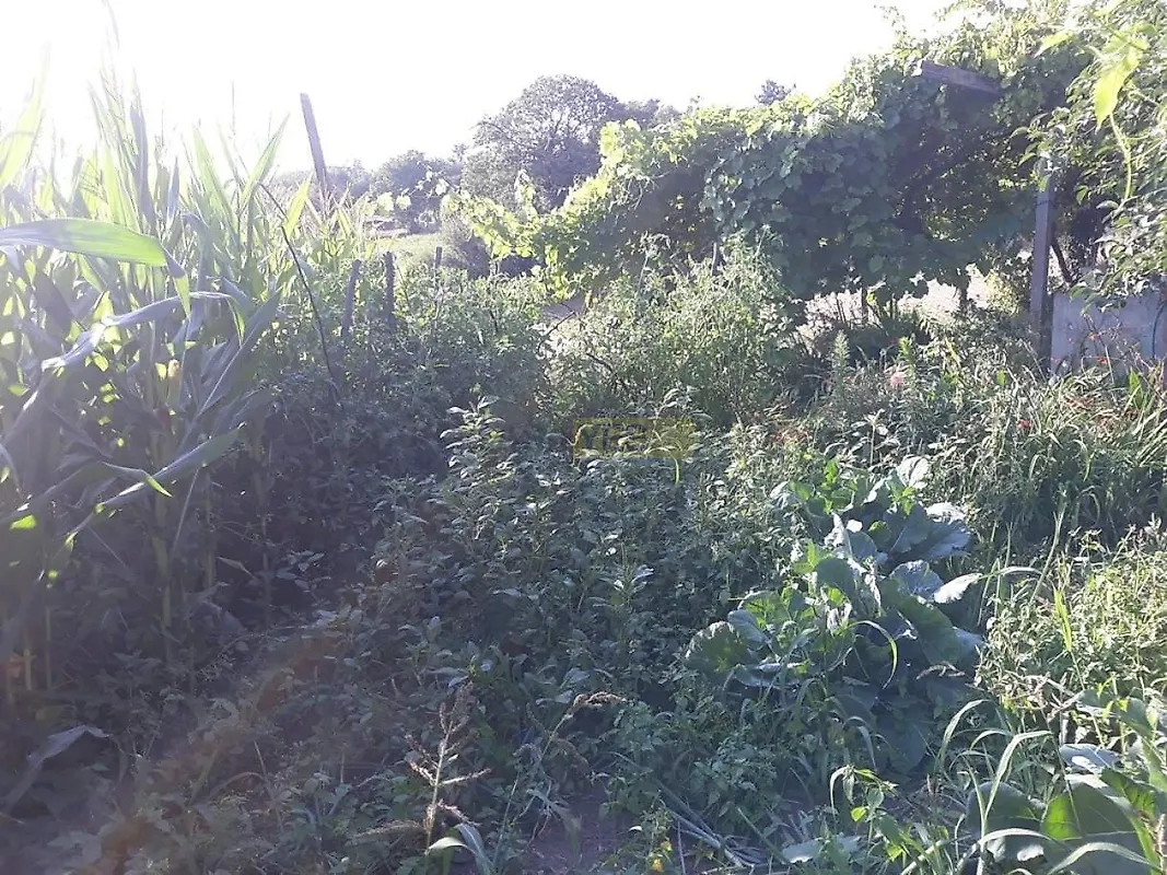 Moradia T5 à venda em Gestaçô, Baião — foto 19