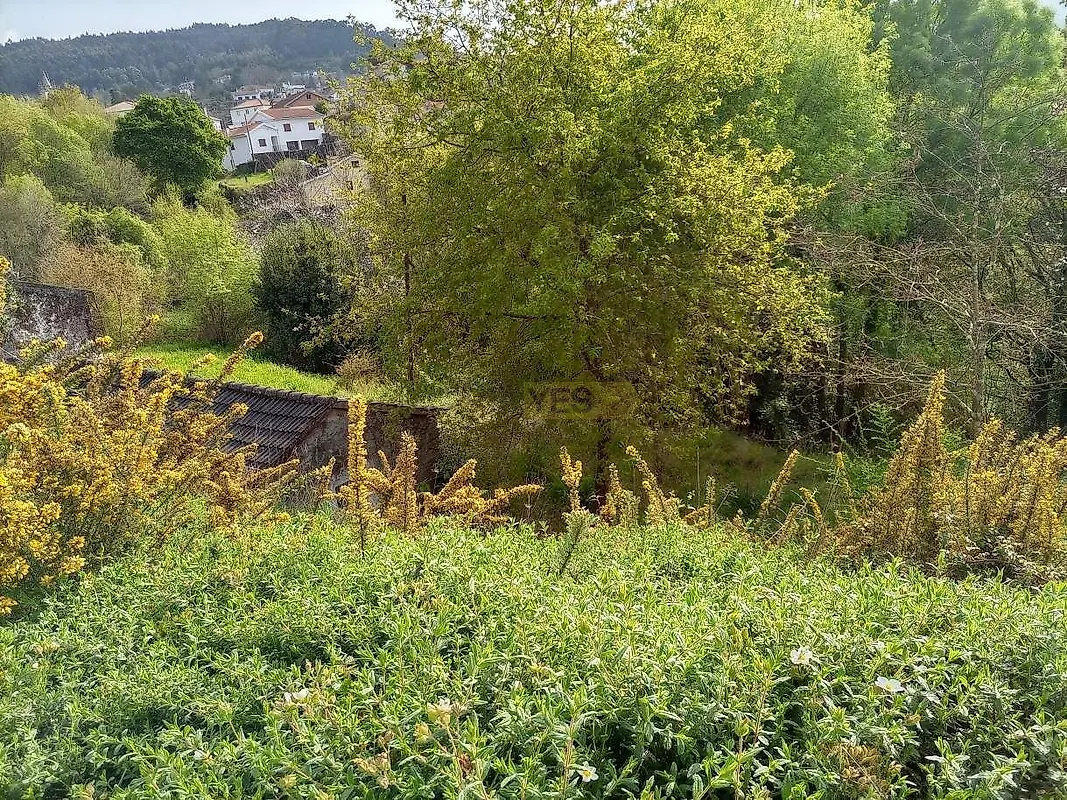 Moradia T0 à venda em Gondarém, Vila Nova de Cerveira — foto 8