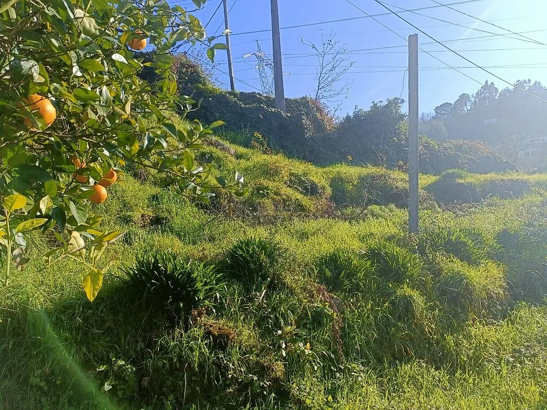 Moradia T2 à venda em São Cristóvão de Nogueira, Cinfães — foto 14