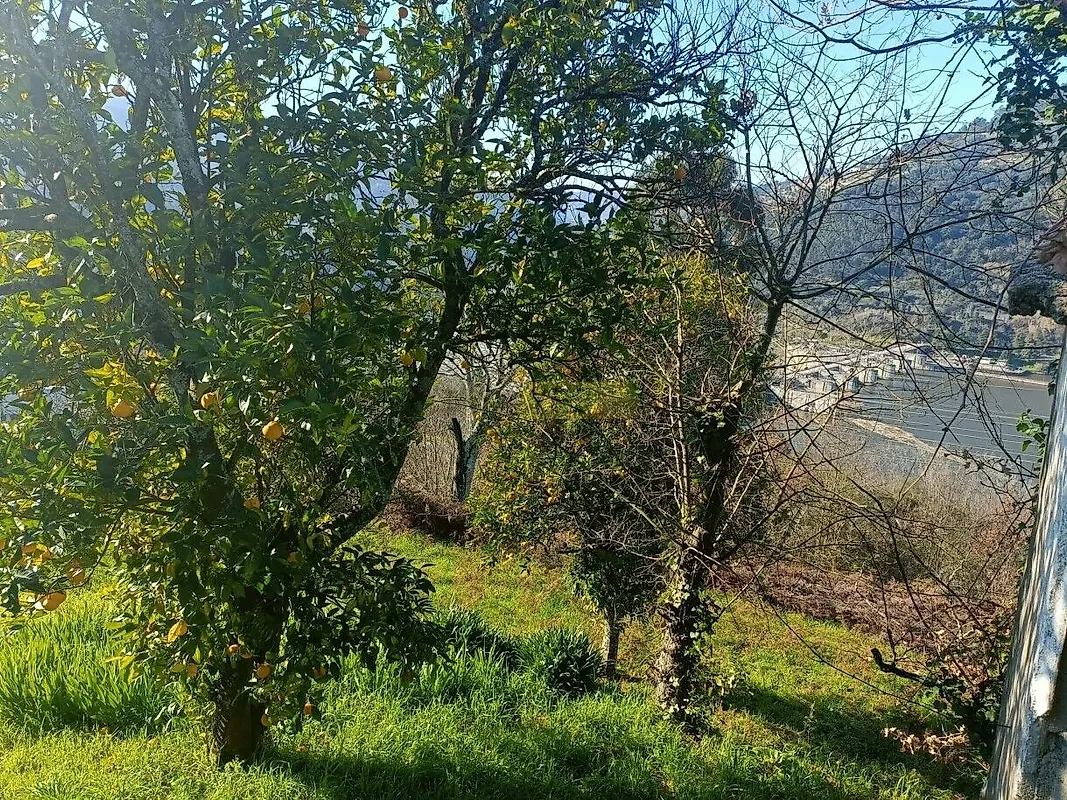 Moradia T2 à venda em São Cristóvão de Nogueira, Cinfães — foto 15