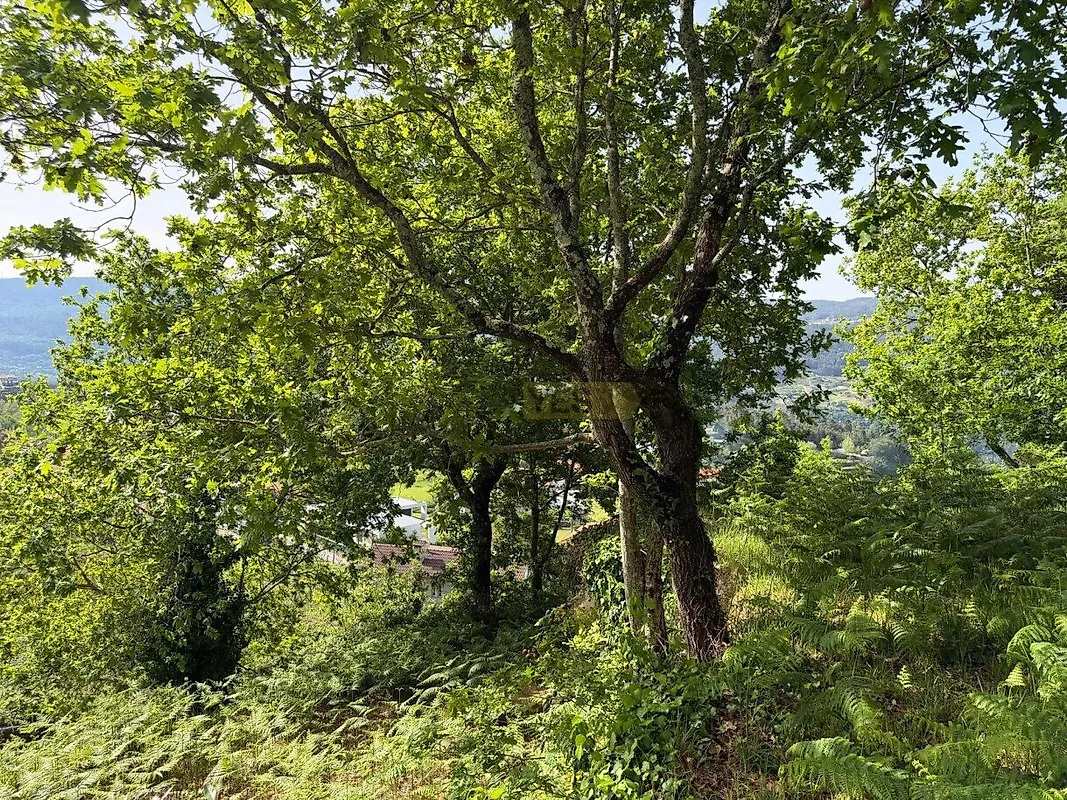 Moradia T0 à venda em Marco, Marco de Canaveses — foto 20
