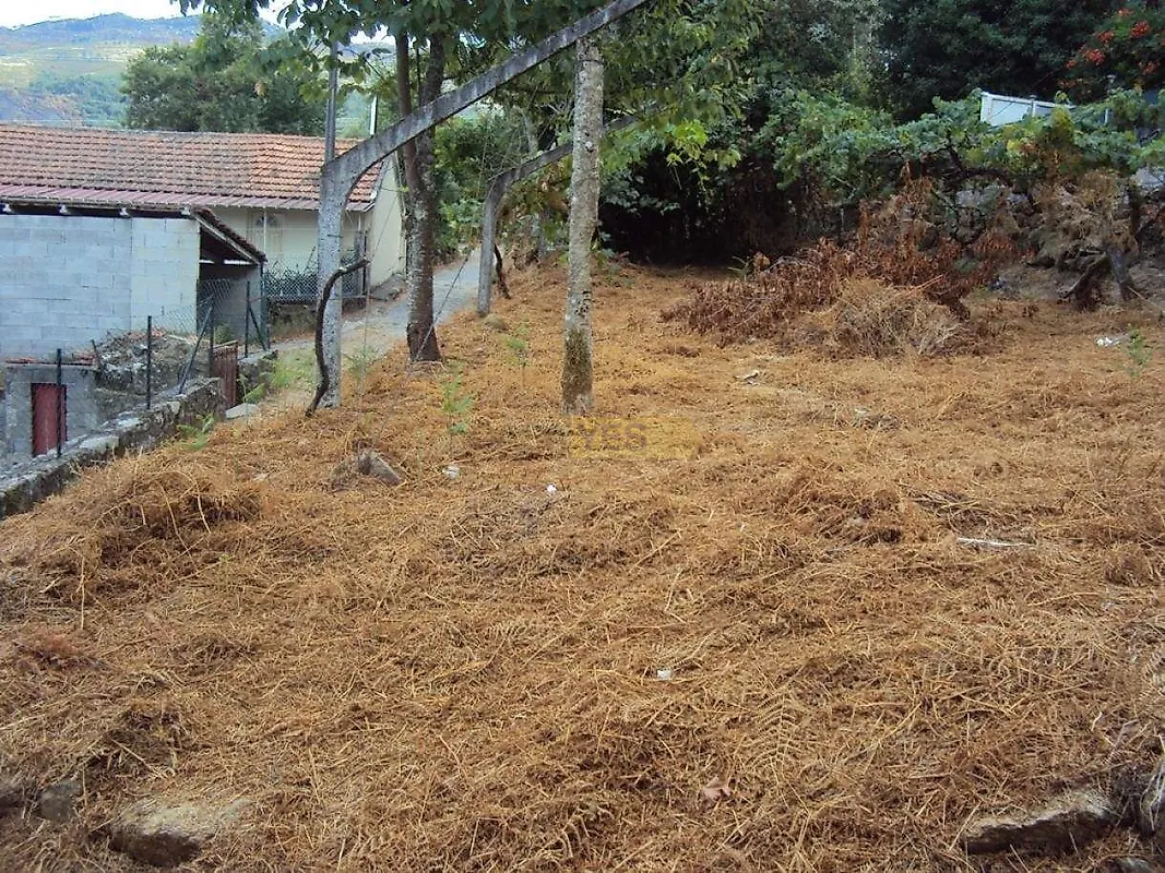 Moradia T1 à venda em Penhalonga e Paços de Gaiolo, Marco de Canaveses — foto 9