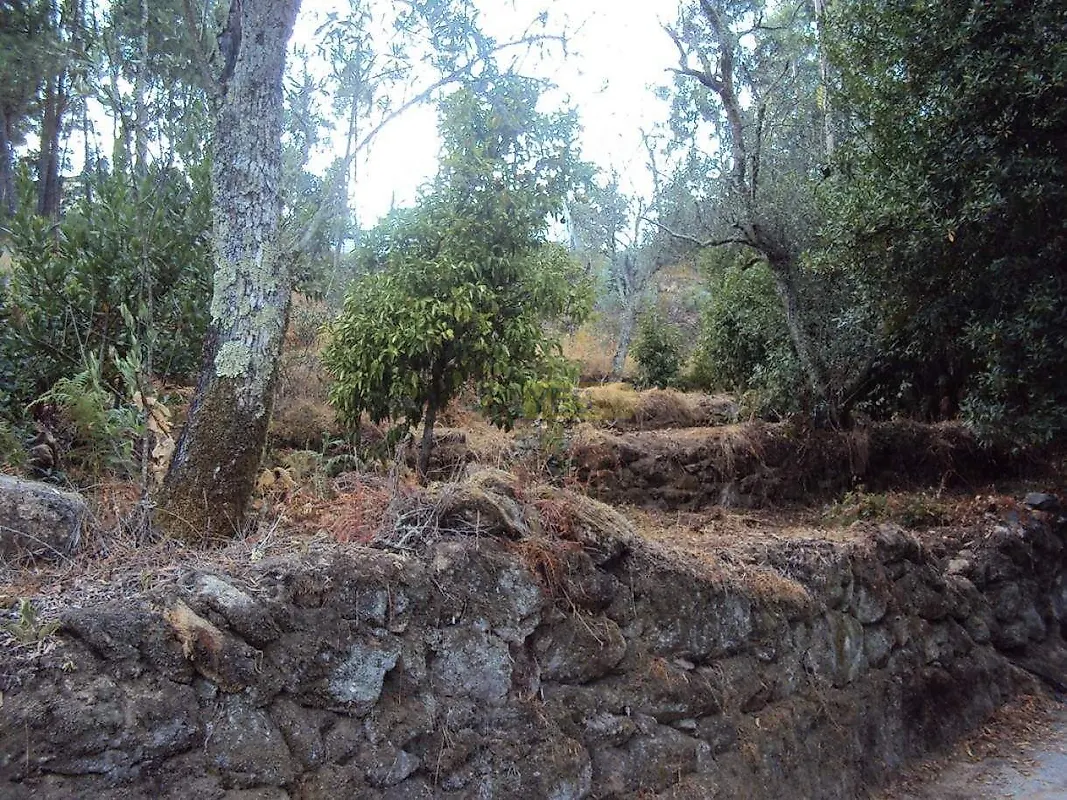 Moradia T1 à venda em Penhalonga e Paços de Gaiolo, Marco de Canaveses — foto 20