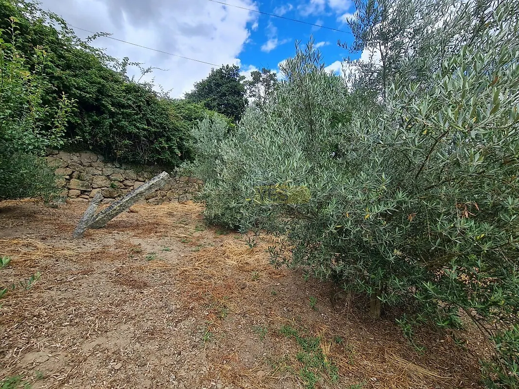Moradia T3 à venda em Barqueiros, Mesão Frio — foto 20