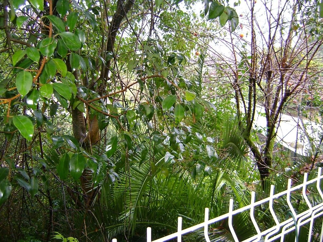Moradia T2 à venda em Termas de São Vicente, Penafiel — foto 18