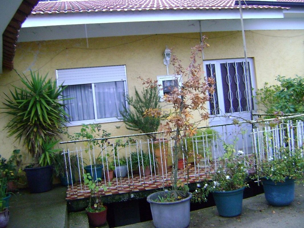 Moradia T2 à venda em Termas de São Vicente, Penafiel — foto 11