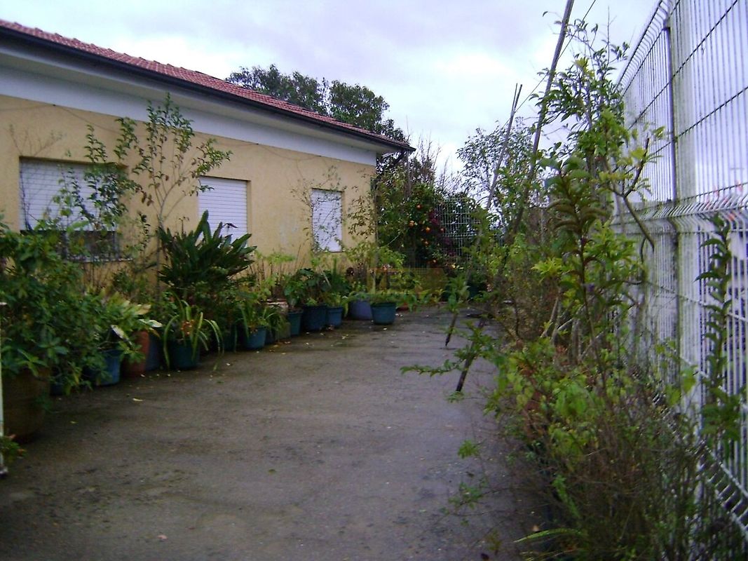 Moradia T2 à venda em Termas de São Vicente, Penafiel — foto 9