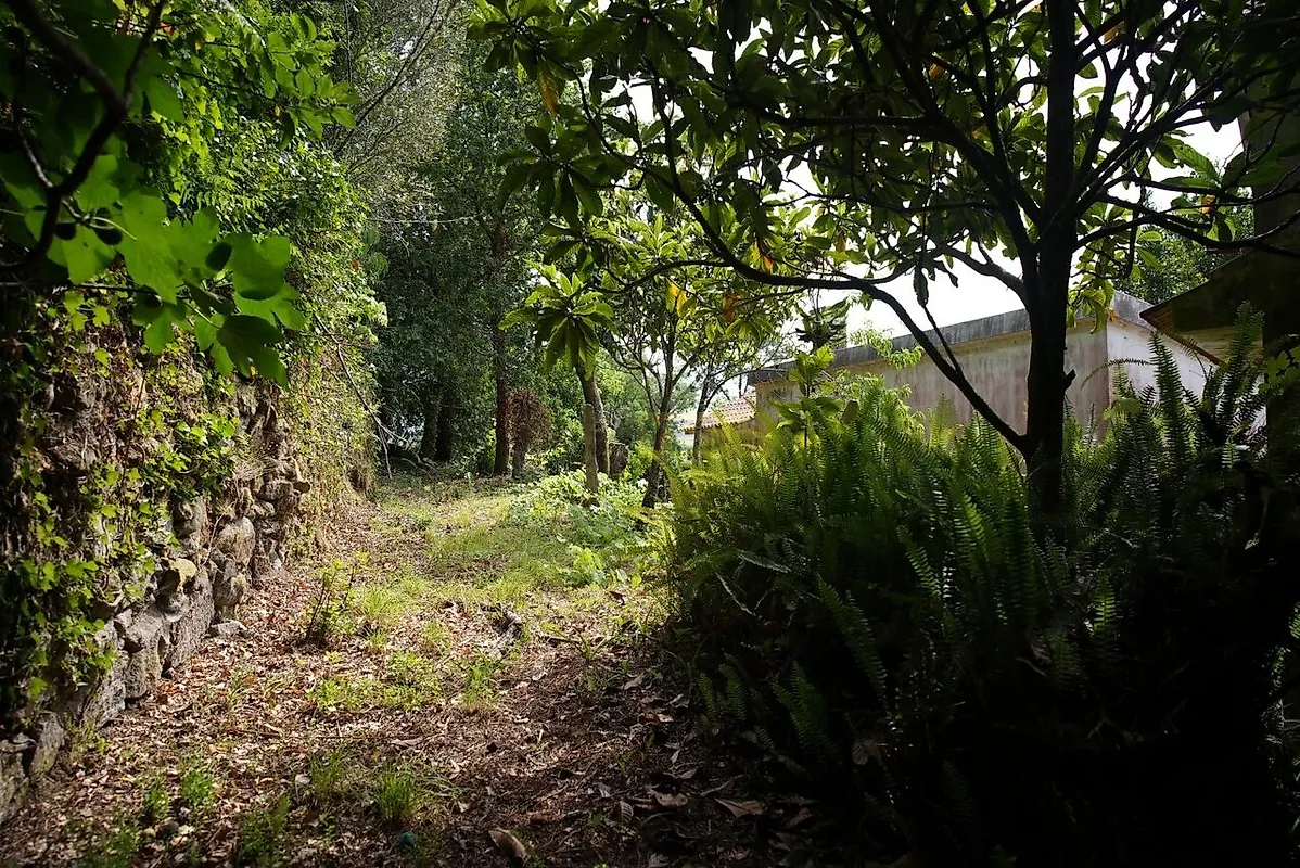 Moradia T0 à venda em Riba de Âncora, Caminha — foto 5