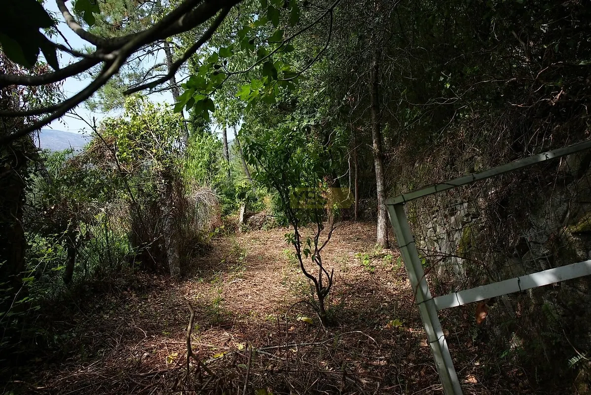Moradia T0 à venda em Riba de Âncora, Caminha — foto 4