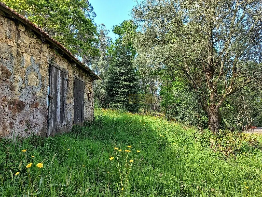Moradia T0 à venda em Cornes, Vila Nova de Cerveira — foto 18