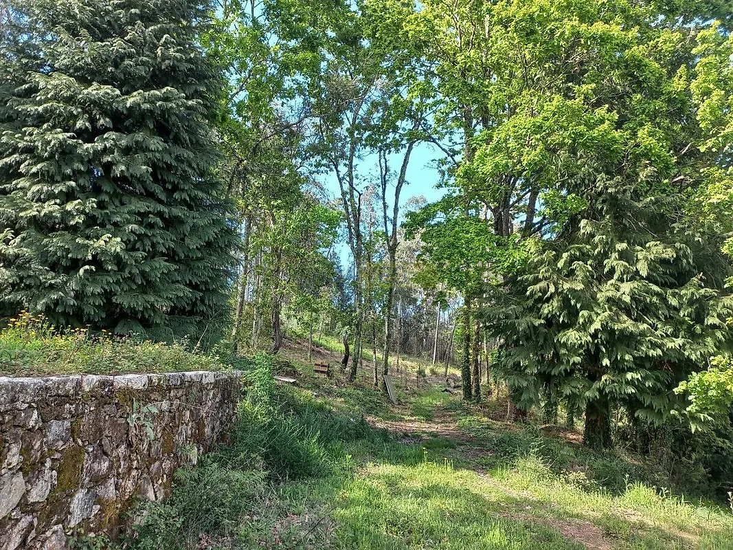 Moradia T0 à venda em Cornes, Vila Nova de Cerveira — foto 19