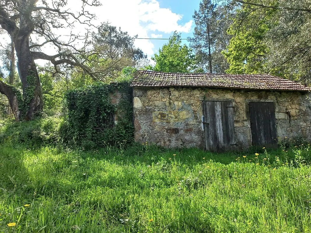 Moradia T0 à venda em Cornes, Vila Nova de Cerveira — foto 16