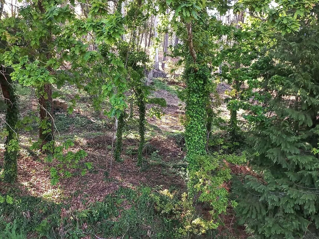 Moradia T0 à venda em Cornes, Vila Nova de Cerveira — foto 11