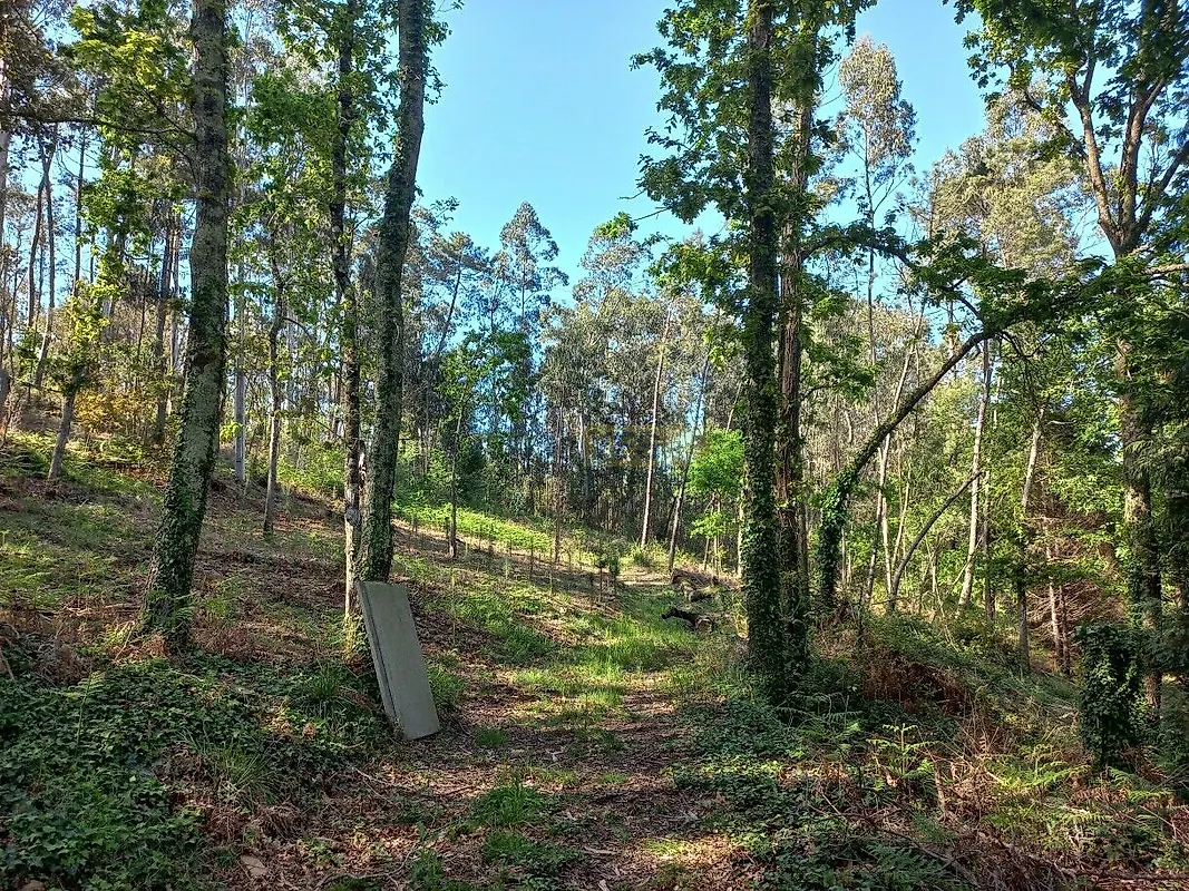 Moradia T0 à venda em Cornes, Vila Nova de Cerveira — foto 7