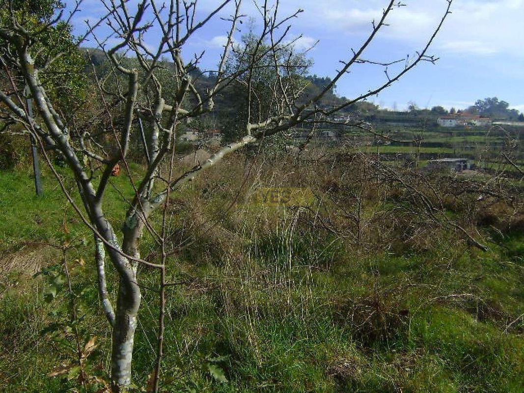 Moradia T1 à venda em Santa Marinha do Zêzere, Baião — foto 6