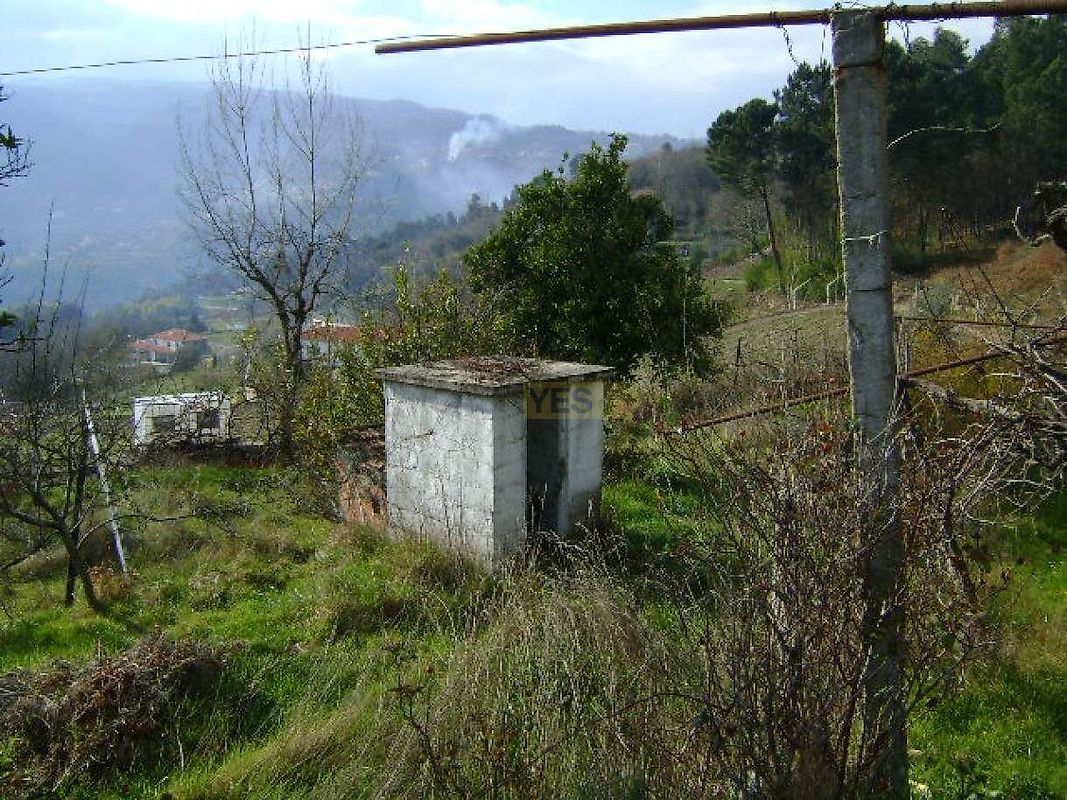 Moradia T1 à venda em Santa Marinha do Zêzere, Baião — foto 12