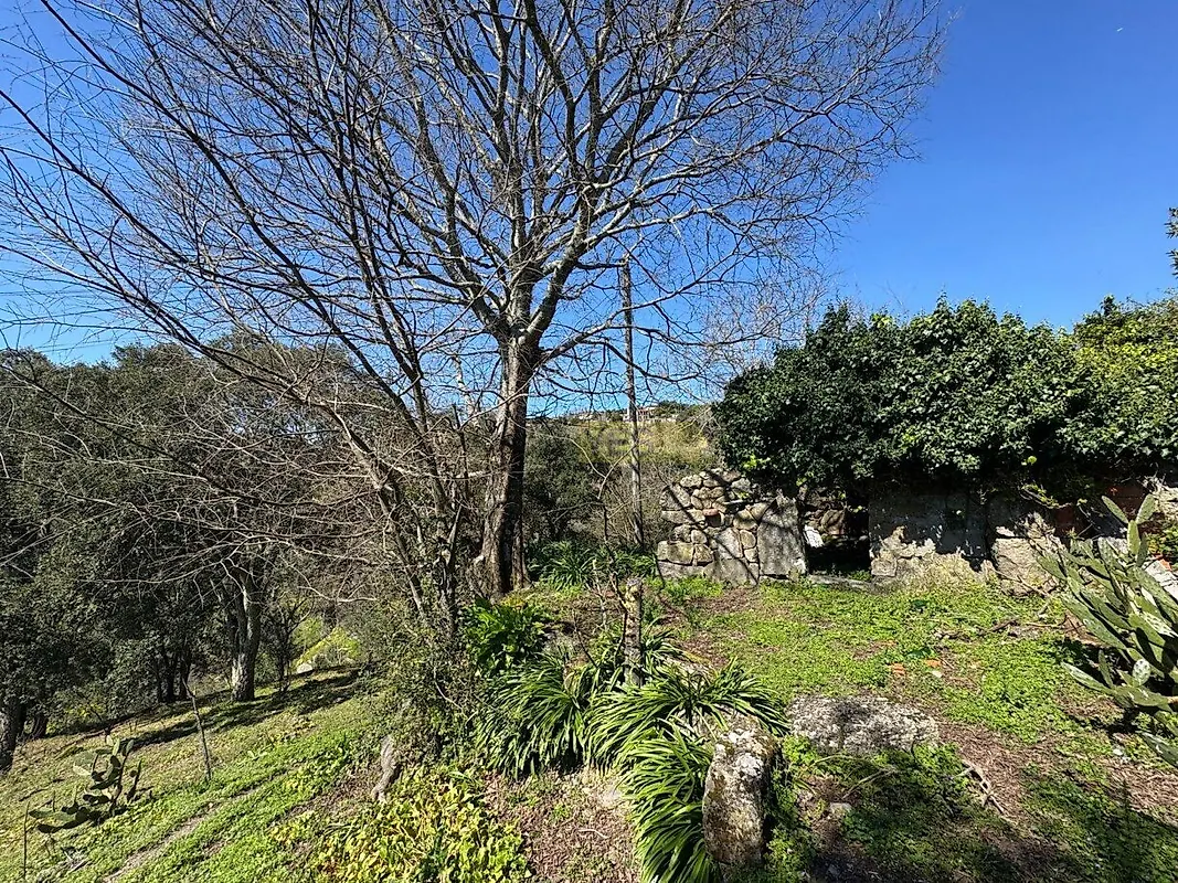 Moradia T0 à venda em Anreade e São Romão de Aregos, Resende — foto 16