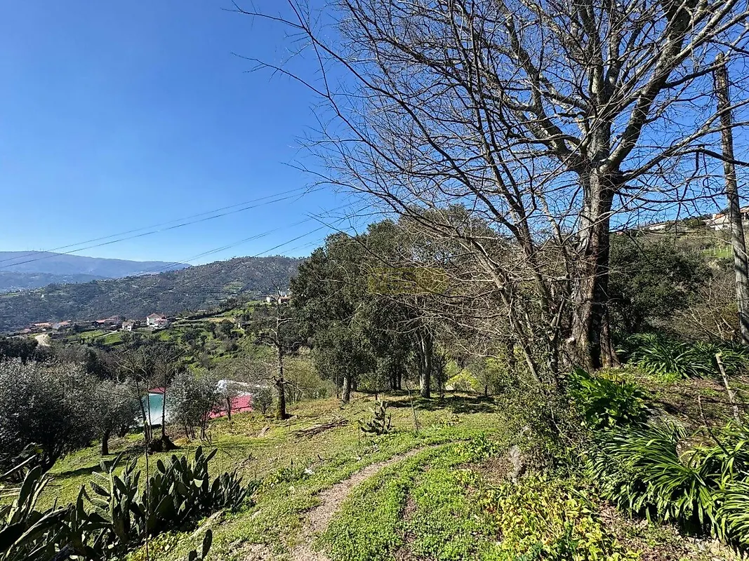 Moradia T0 à venda em Anreade e São Romão de Aregos, Resende — foto 15