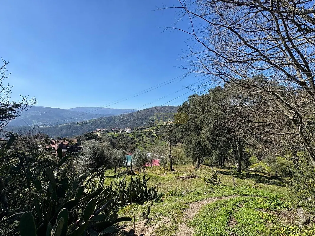Moradia T0 à venda em Anreade e São Romão de Aregos, Resende — foto 14
