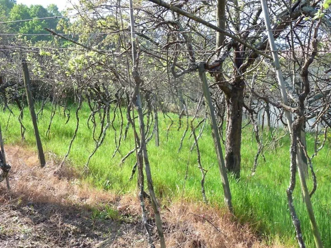 Moradia T1 à venda em Santa Marinha do Zêzere, Baião — foto 3