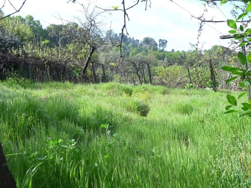 Moradia T1 à venda em Santa Marinha do Zêzere, Baião — foto 13