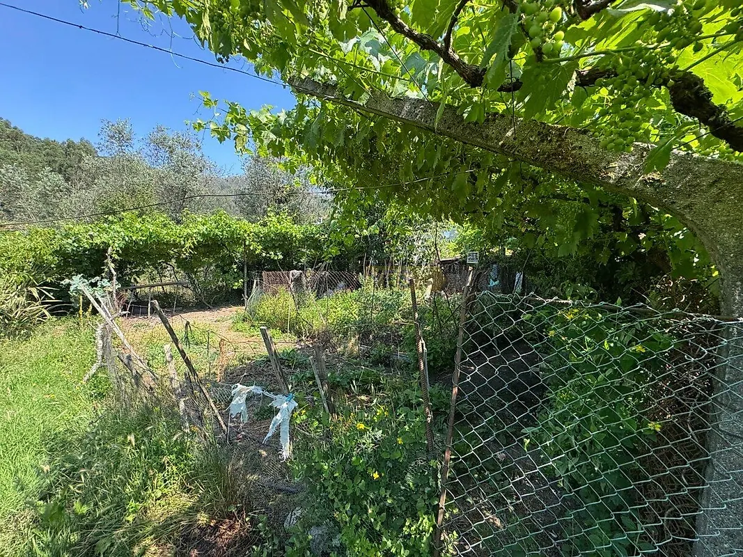 Moradia T4 à venda em Campelo e Ovil, Baião — foto 5