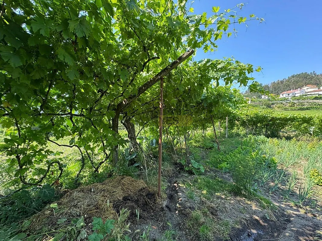 Moradia T4 à venda em Campelo e Ovil, Baião — foto 19