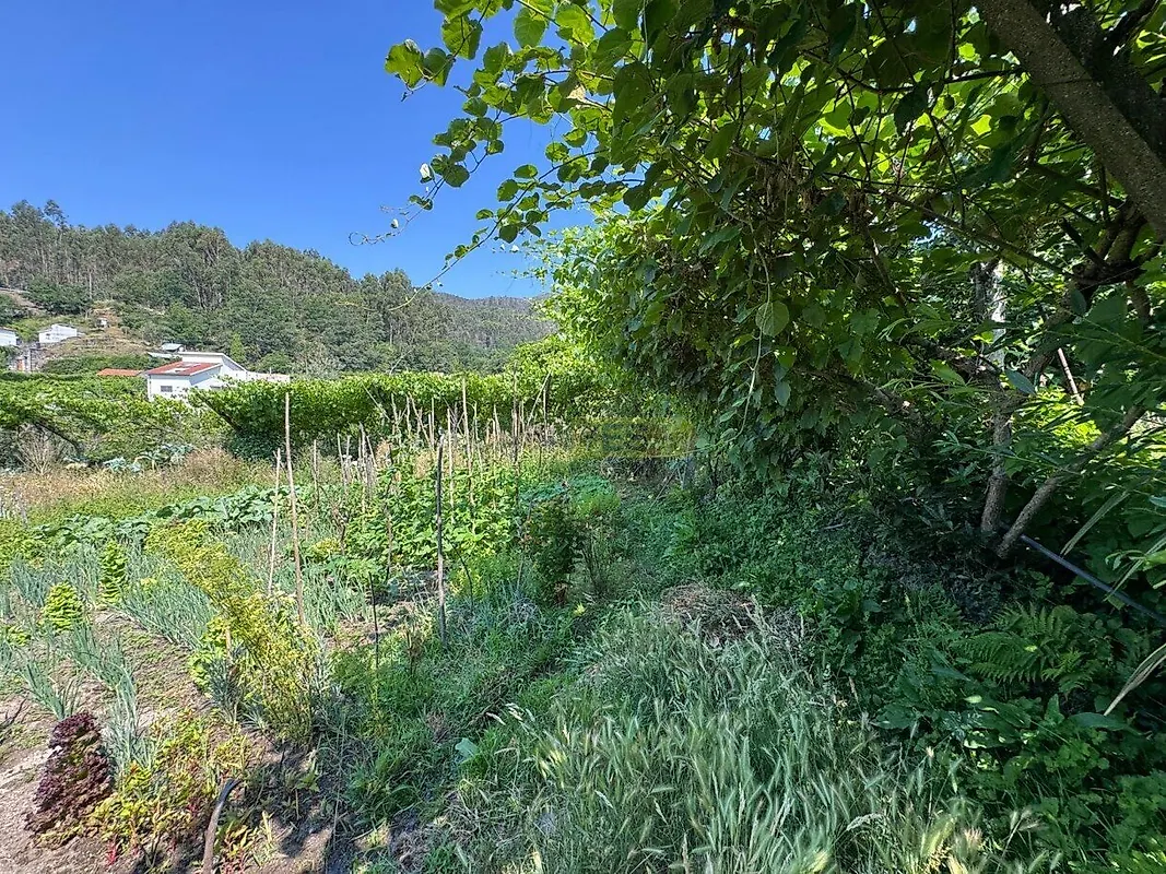 Moradia T4 à venda em Campelo e Ovil, Baião — foto 17