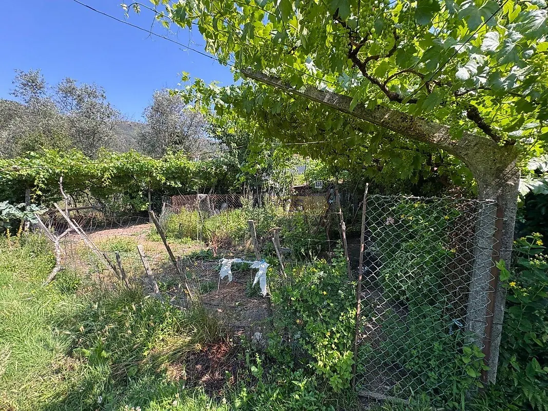 Moradia T4 à venda em Campelo e Ovil, Baião — foto 16